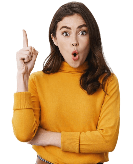 Security verification interface